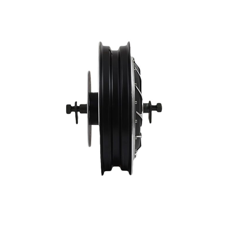 QS 8000W 14inch 273 Electric I - Qs Motor 273 8000W Hub Motor recension och pris