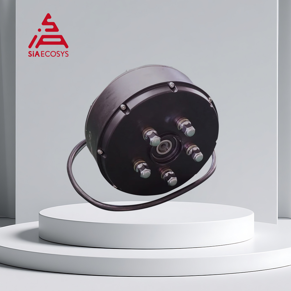 QSMOTOR 1000W Single Shaft Hub - Ev Electric Motor Conversion Kit Car recension och pris