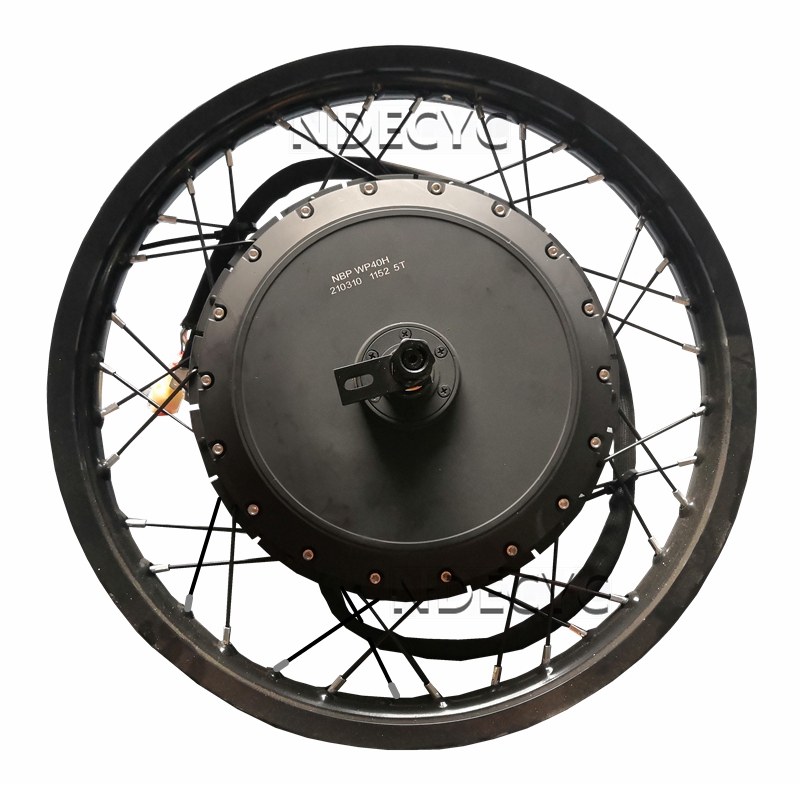 US Stock NBpower/QS V3 273 40H - Qs Motor 273 8000W Hub Motor recension och pris