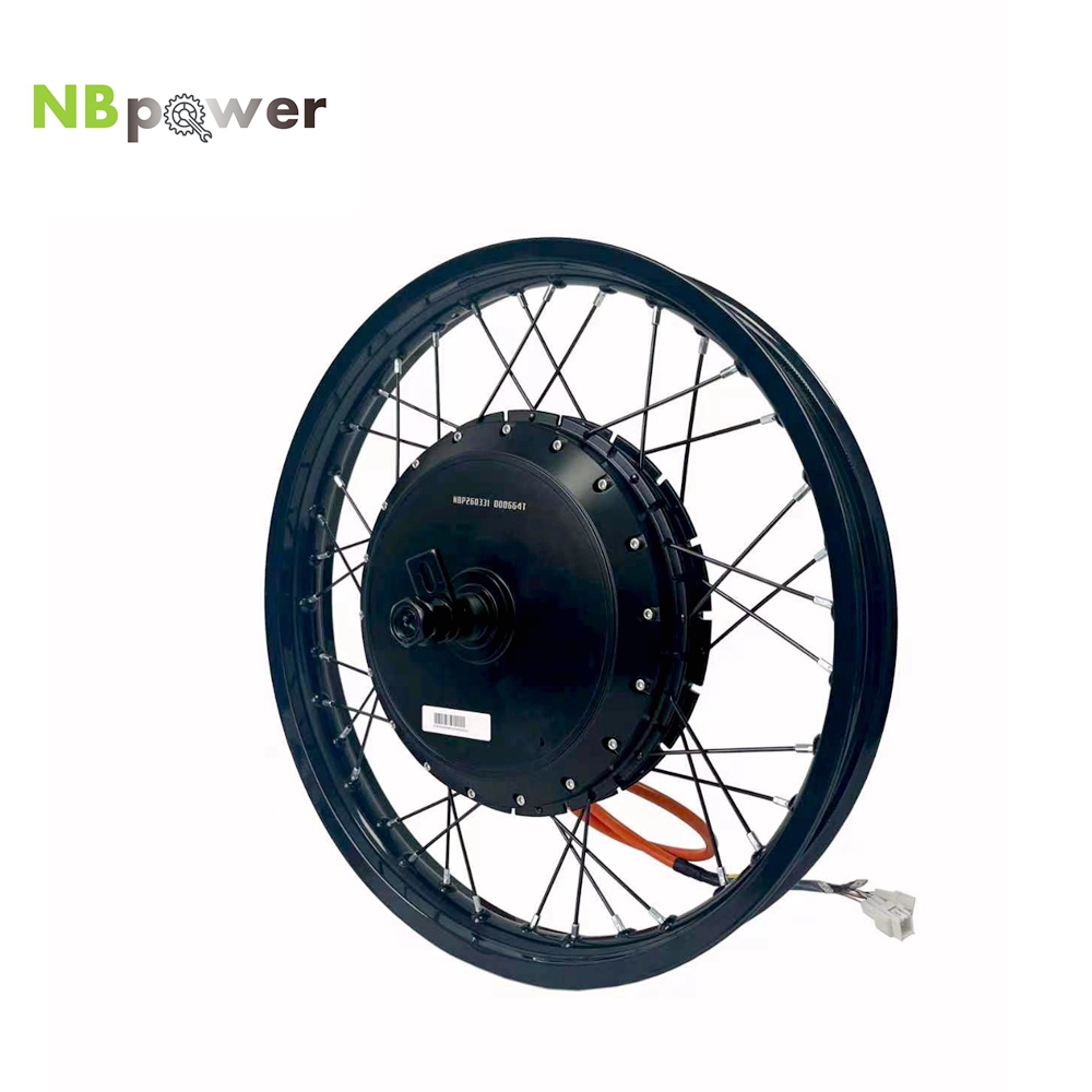 NBpower/170mm Dropout QS 273 4 - Qs Motor 273 8000W Hub Motor recension och pris